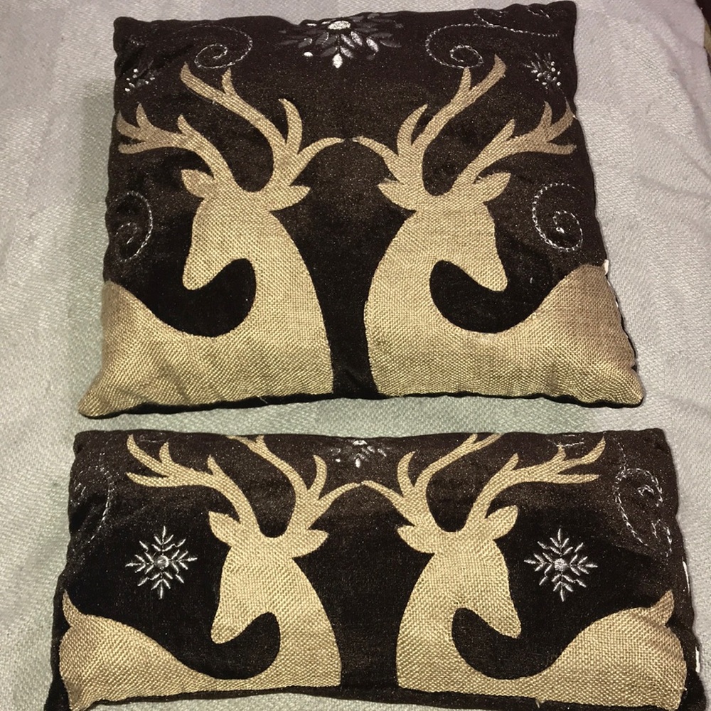 Set of 2 throw pillows